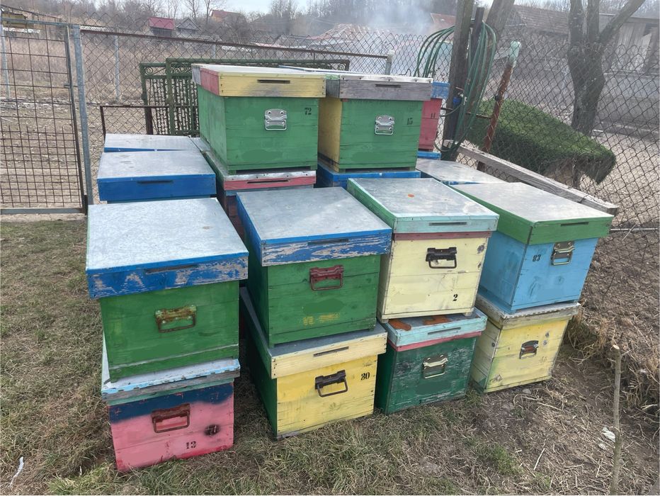 Vand cutii stupi 40buc