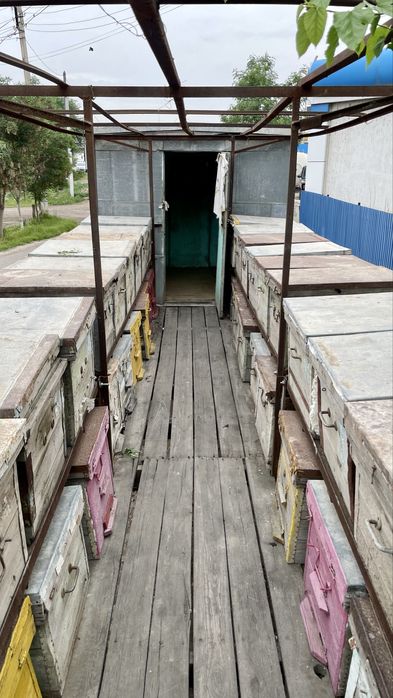 Пцеловод с вагон