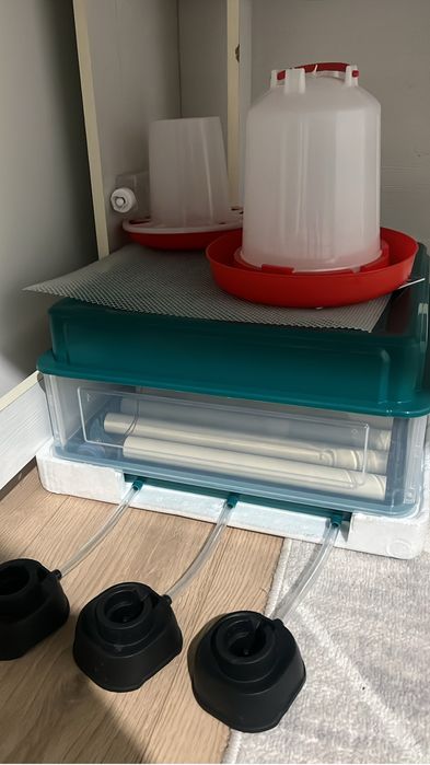 инкубатор на 36 яиц