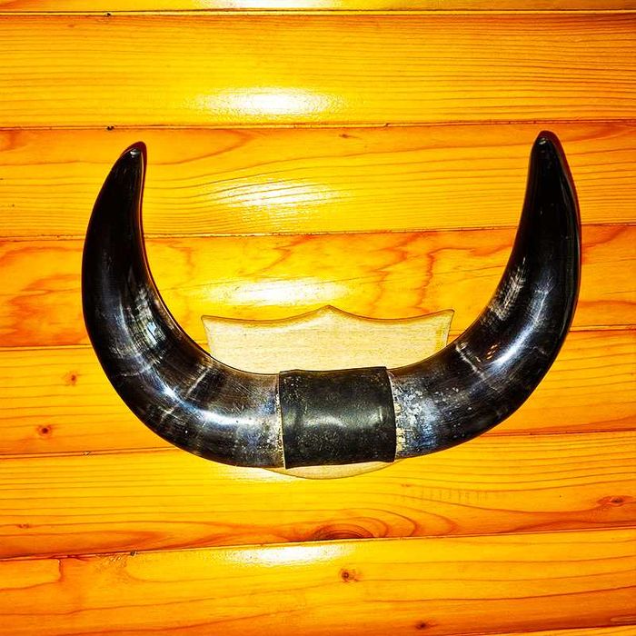 Декорация от рога на воден бивол