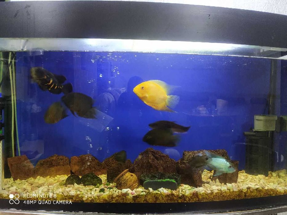 Продается аквариум 180 литров в полном комплекте