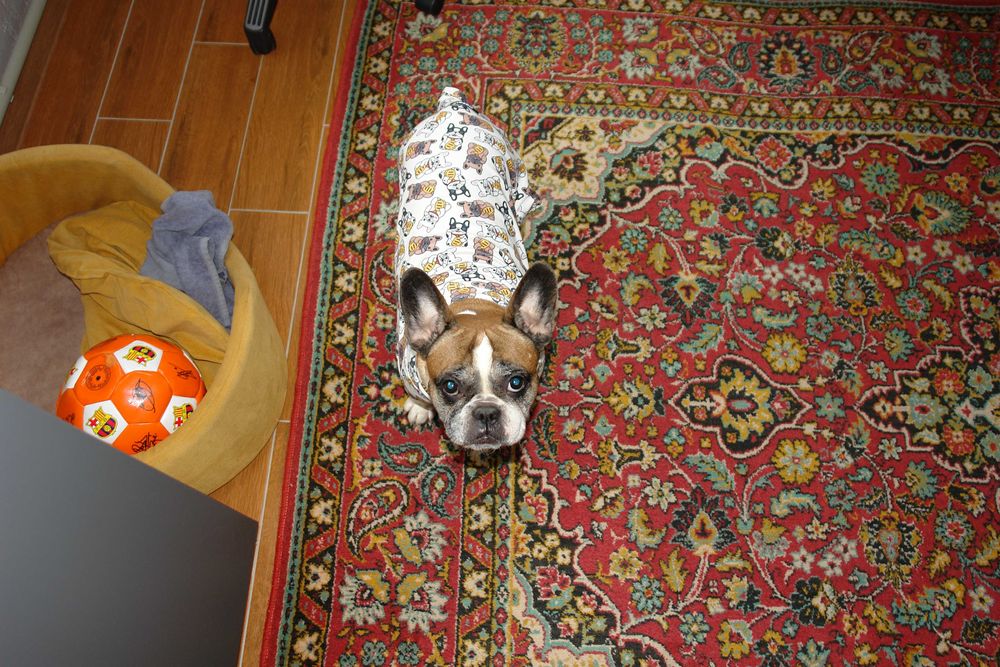 Фотоаппарат Sony DSC-R1