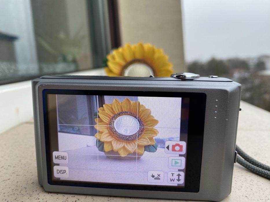 Aparat foto compact Panasonic lumix DMC FS 37