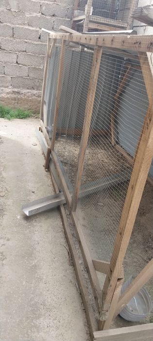 Клетка для кур, обустроенный
