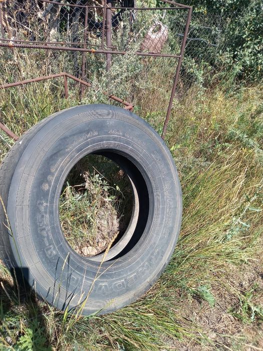 Шина от автобуса