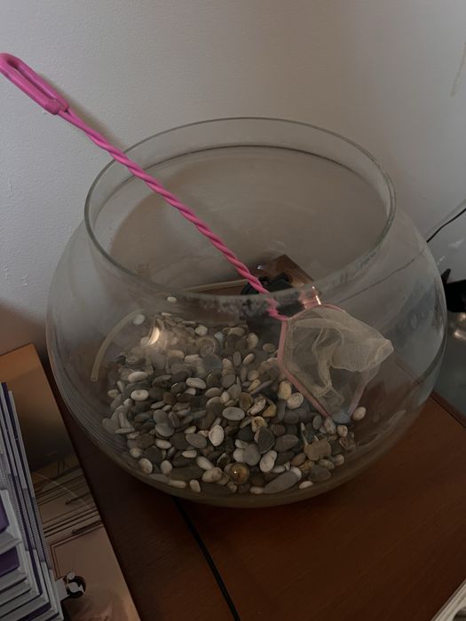 Аквариум домашний