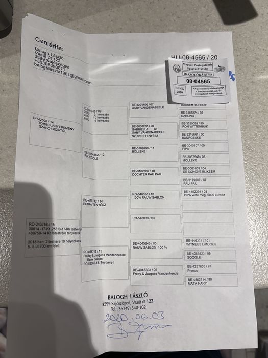 Disponibil pereche porumbei