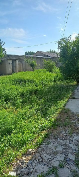 Ховли сотилади 22 сутк