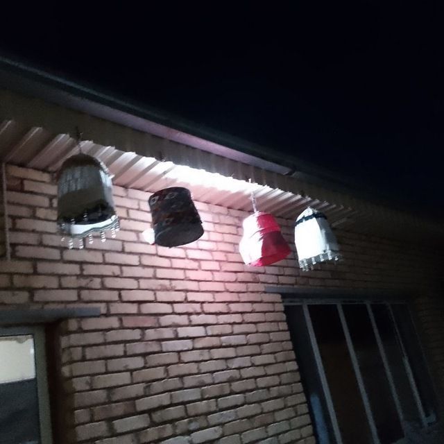 Bedana sotiladi mesni