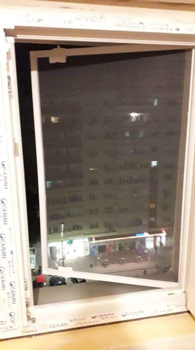 Plase insecte ,  țântari