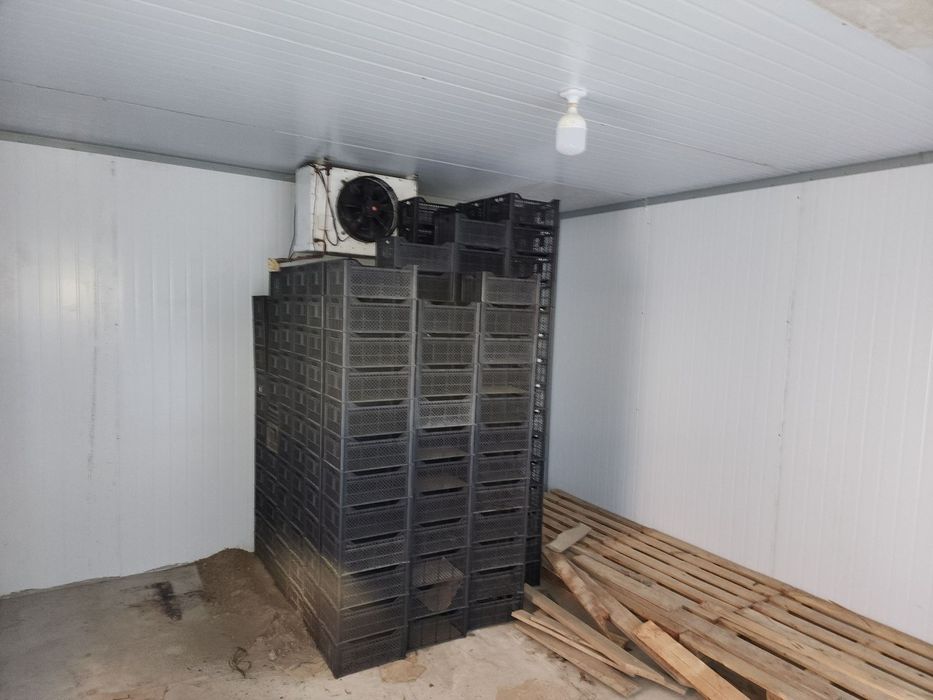 Mevalar uchun muzlatgich