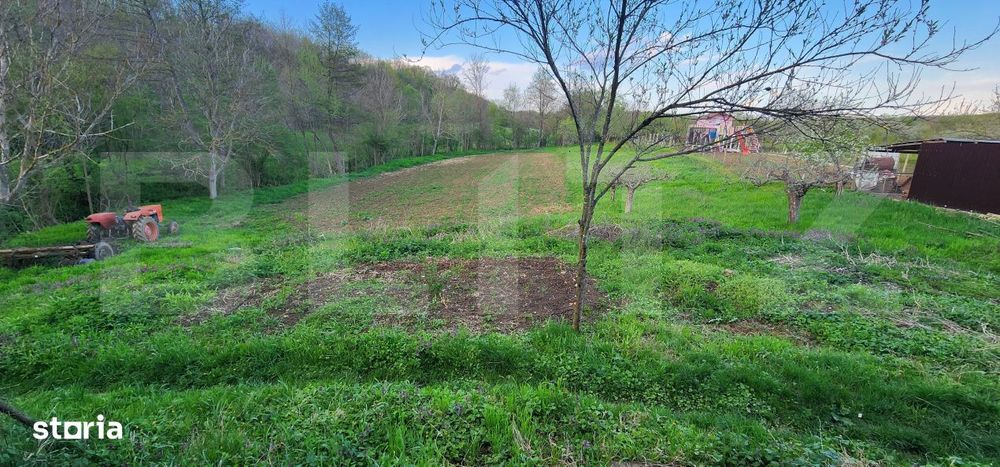 Teren 6650 mp, cu casa nefinalizata de 111 mp, in Nisipoasa.