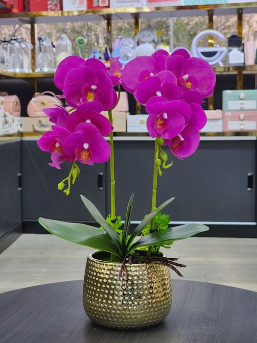 Орхидея  качество  люкс