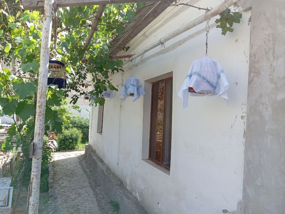 Сайроки беданалар сотилади