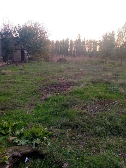 Yer uchaskasi sotiladi Toshkent viloyati Toʻytepada