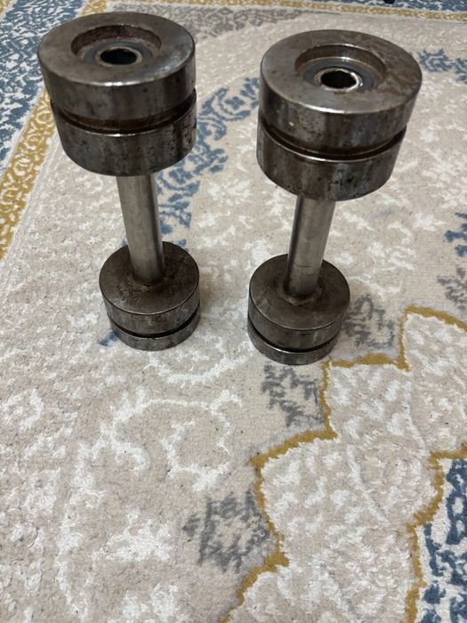 Гантели для тренировки