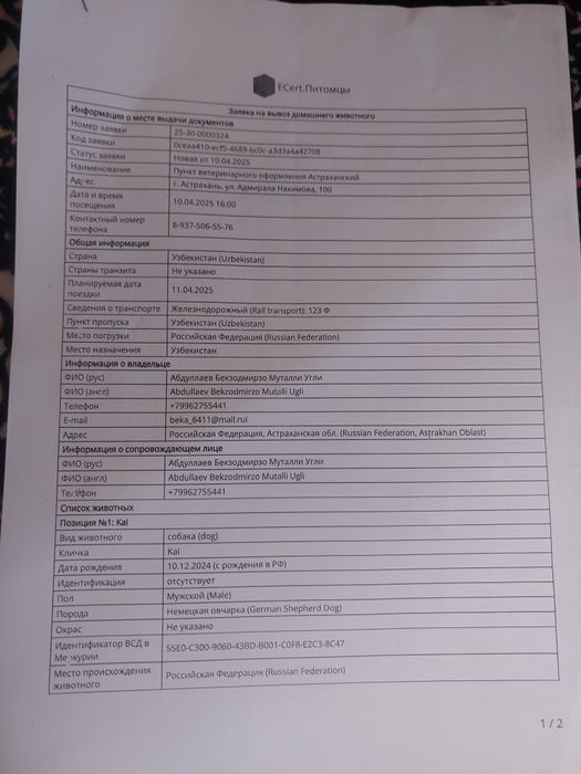 Немецкая овчарка