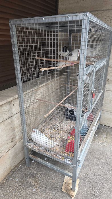 клетка с три двойки красиви гълъби