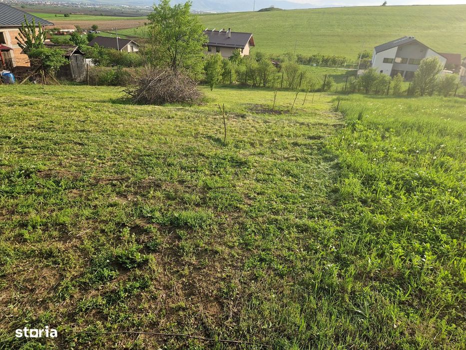 Teren intravilan 1250 mp cu priveliște superbă - Sura Mare