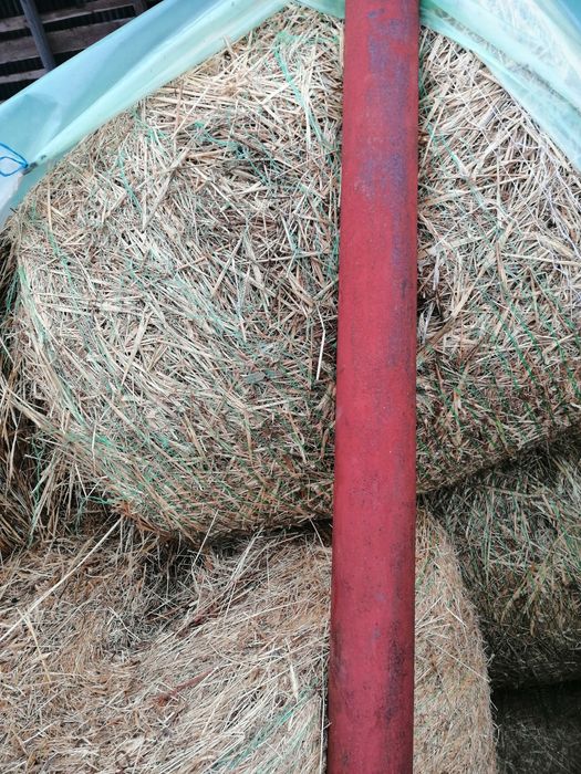 Baloti de lucernă si Fân