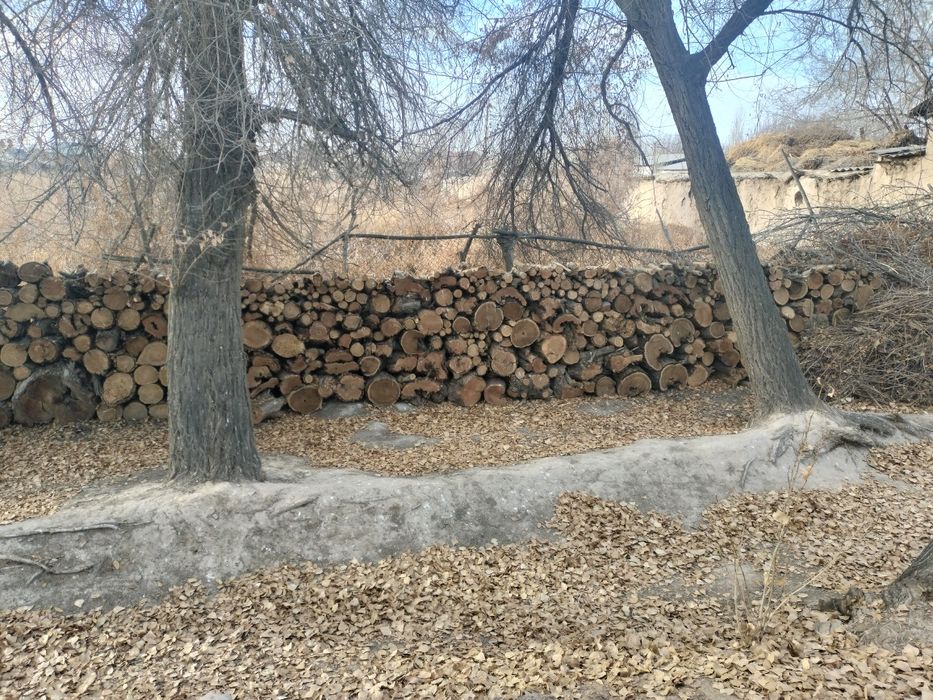 Продаётся дрова для топки.Отын Сатылатын
