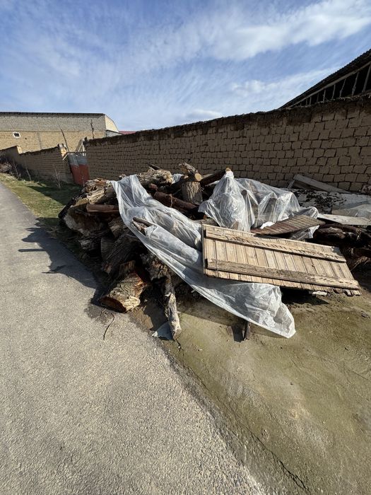 Утин сотилади! 100