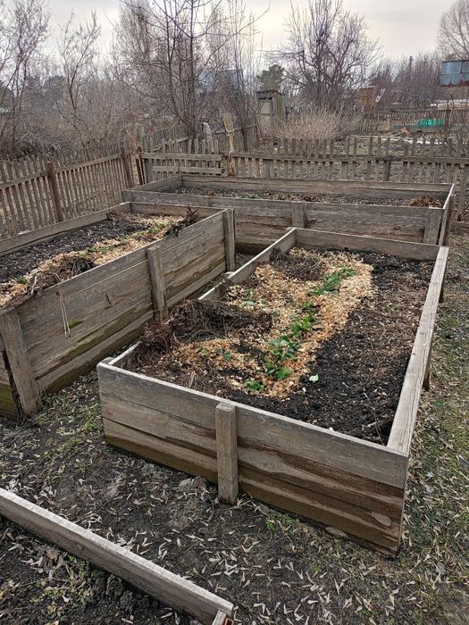 Дача на берегу Ишима