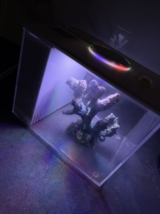 Vand acvariu pesti echipat complet 3l