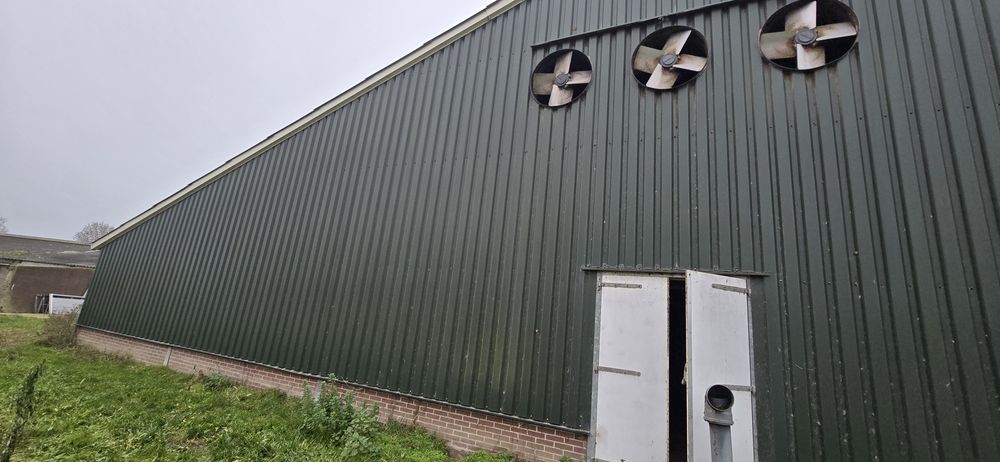 Hala de porci la ingrasare completa 1500 capete siloz furajare ventila