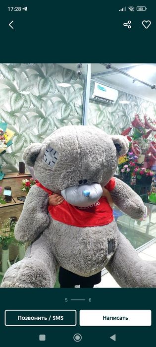 Teddy Teddy orginal xitoy