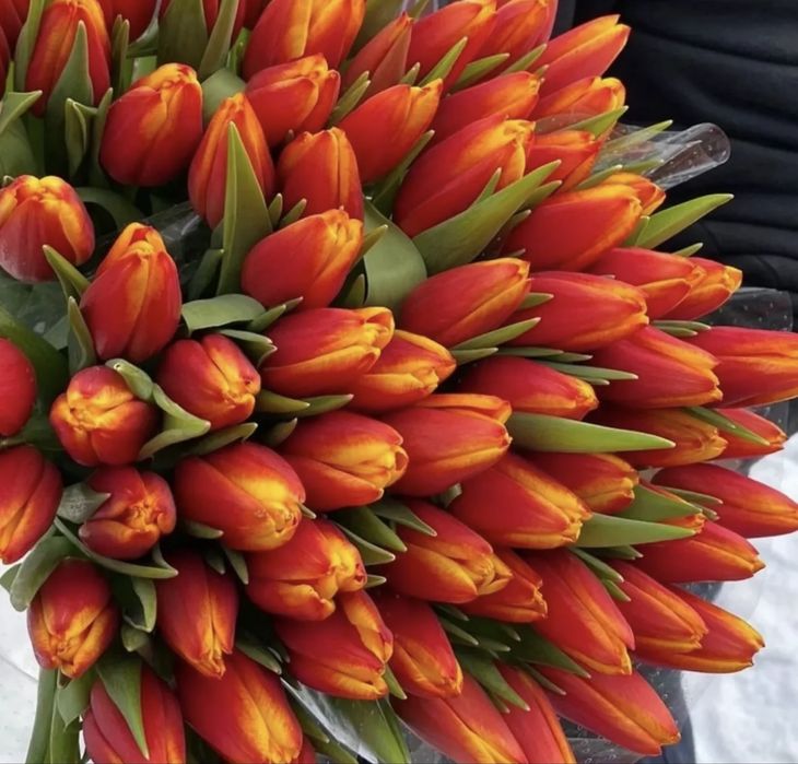 Тюльпаны к праздникам Атырау