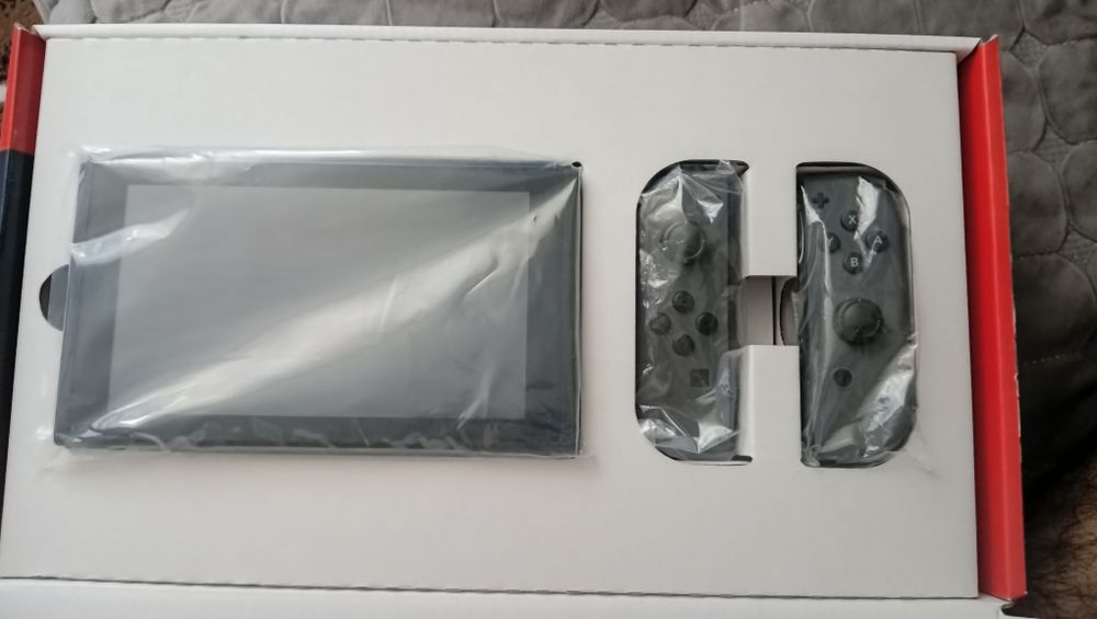 Nintendo switch standart v2