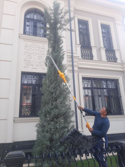 Арча кесиш ва дорилаш хизмати