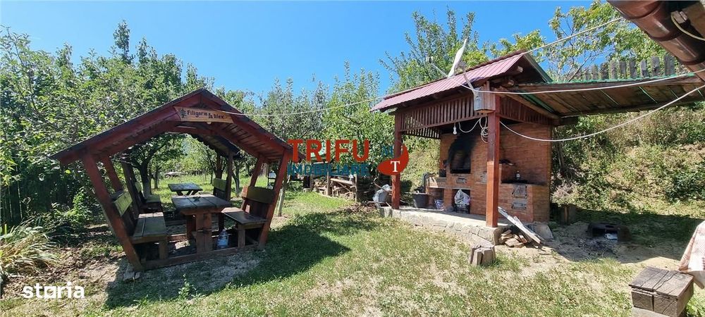 Cabana de vanzare zona Sard cu teren intravilan de 1950 mp