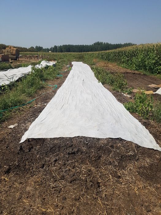 Биогумус+Байкал М1 самое лучшее удобрение для всех растений.