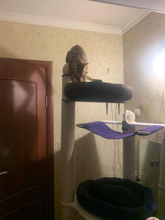 Игровой домик для кошек с диваном