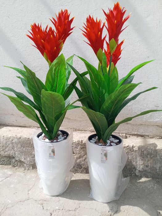 Навои Суний ва декоратив гуллар. Арзон ва сифатли танлов