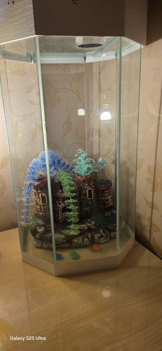 Продам вертикальный аквариум