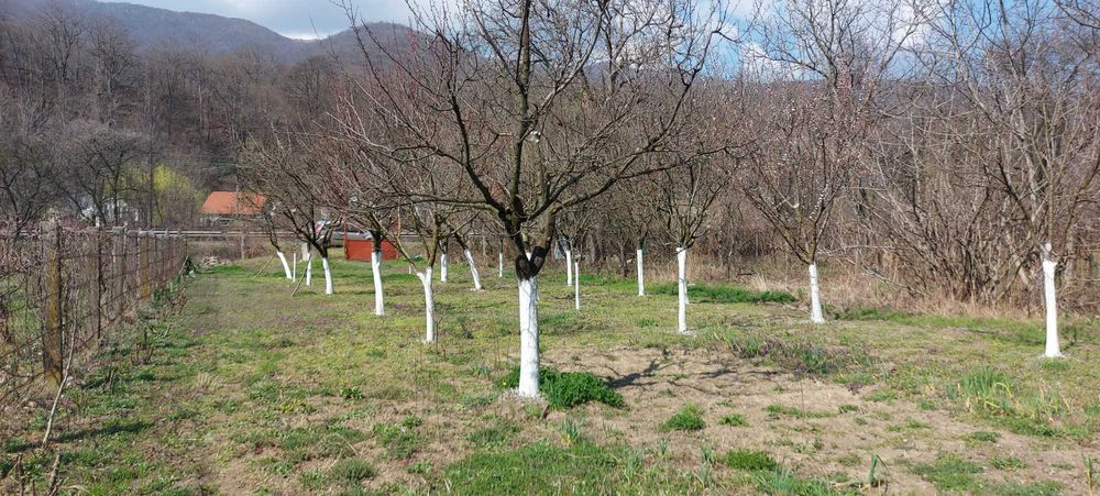 Teren  intrare Herculane ,E70.