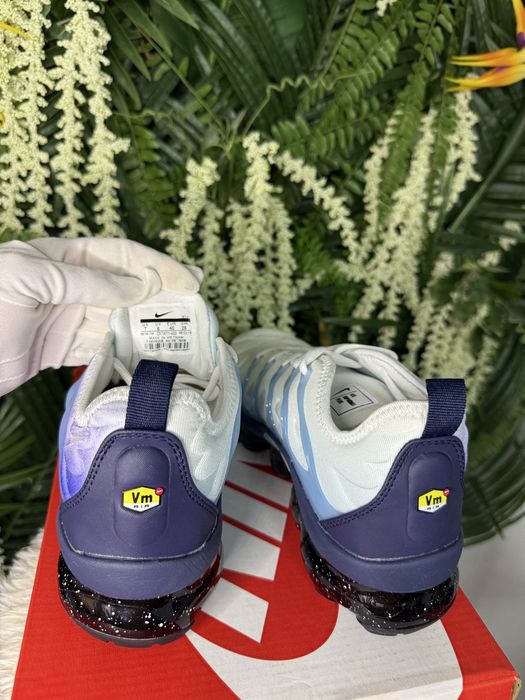 Nike Vapor Max Plus Gradient Blue