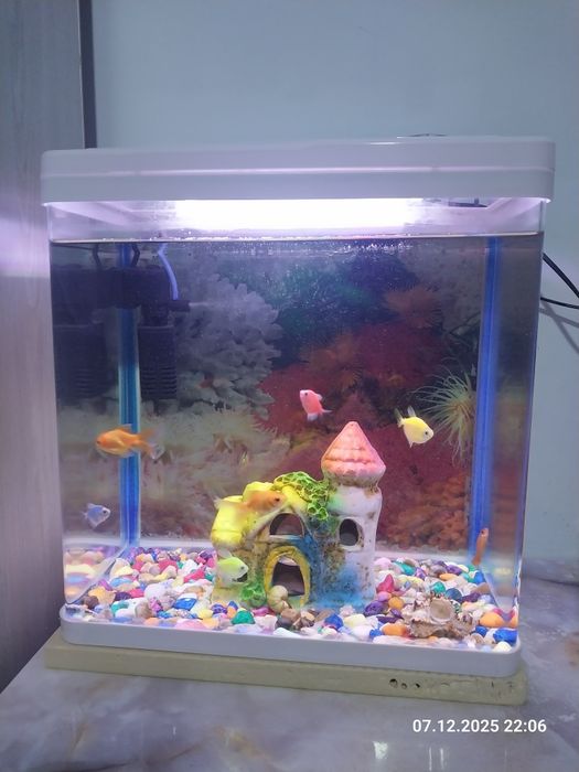 Аквариум заводской сотилади