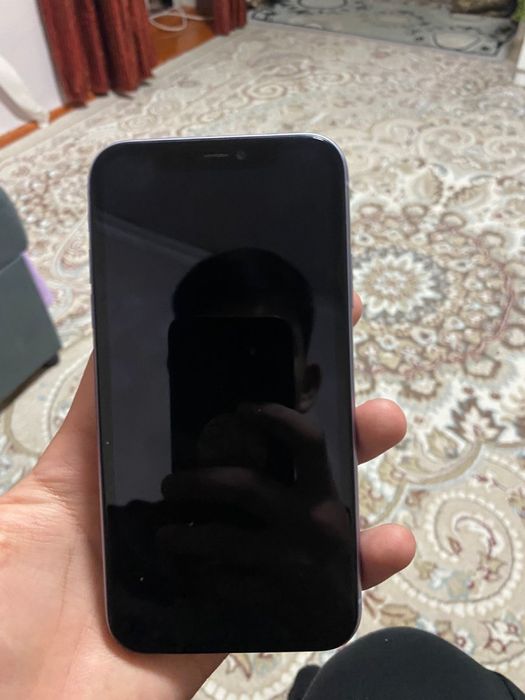 iPhone 11 фулл ворк