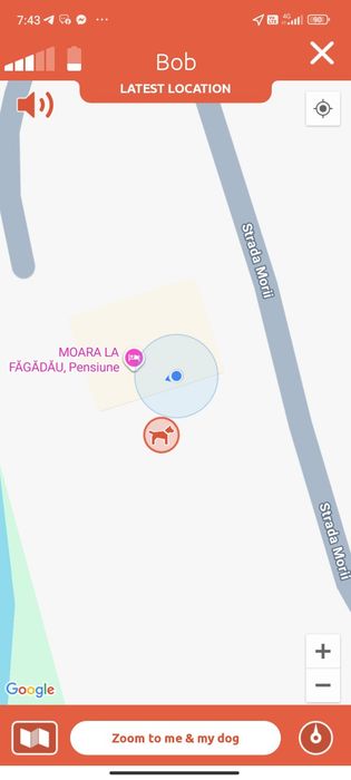 Gps Tracker Pitpat pentru animale