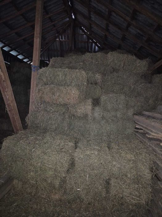 Vand baloti lucerna si fan