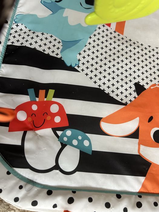 Музикална активна гимнастика Fishe price