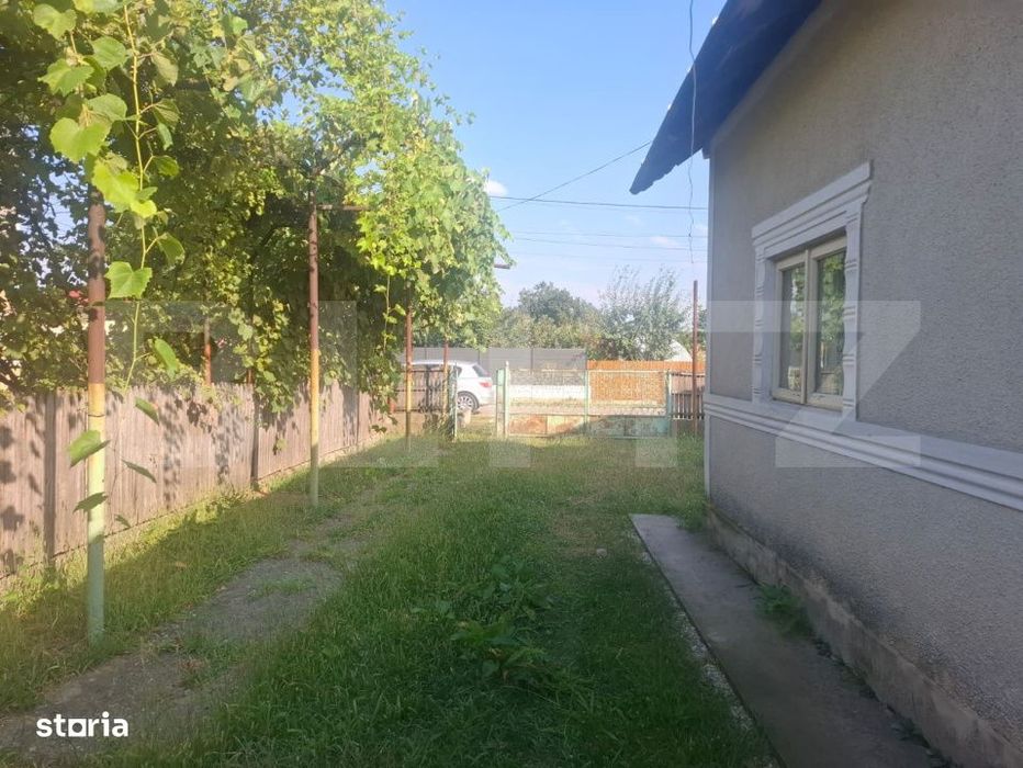 Proprietate cu 2 case, 2.100 mp teren si multiple anexe