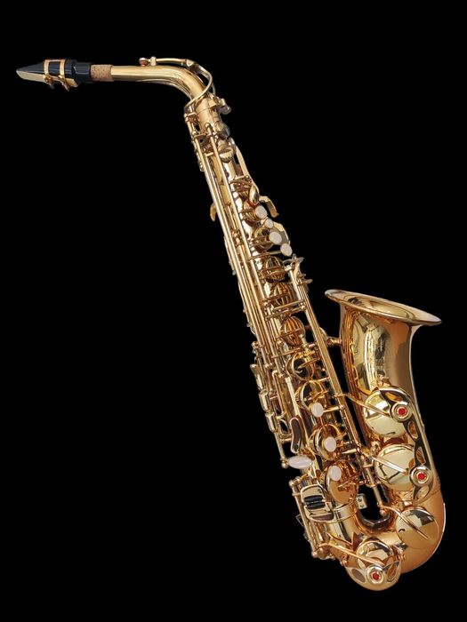 Set Saxofon Alto Parrot ZL118 Auriu