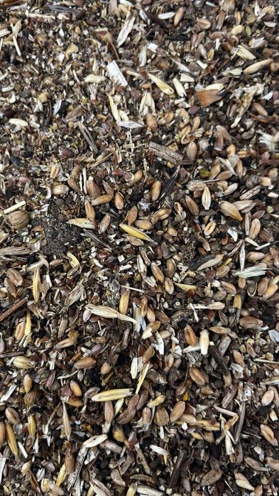 Зерноотходы росыпью