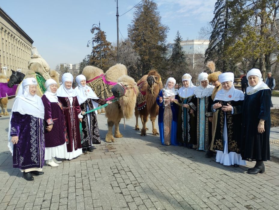 Прокат верблюдами и лошадей