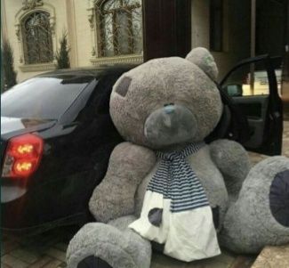 Orginal Teddy +Bonus Yana Bitta Teddi